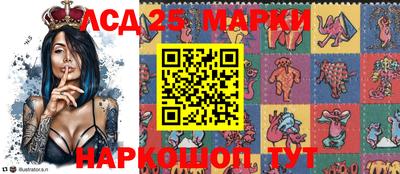 гидропоника Донской