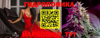 гашик Дубна