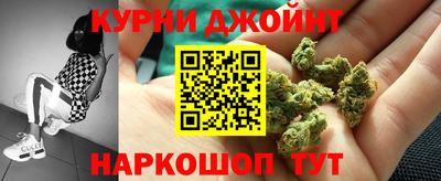 гашик Дубна