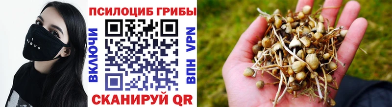 Псилоцибиновые грибы мицелий  Рославль 