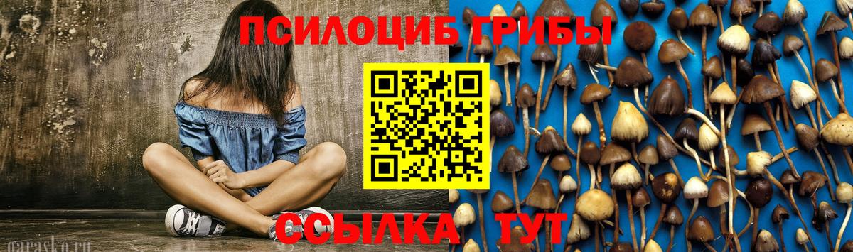 Галлюциногенные грибы Psilocybe  Вход с VPN  Рославль 